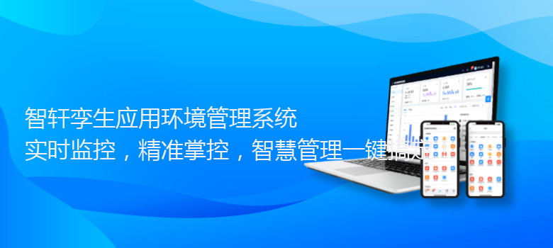 孪生应用环境管理系统